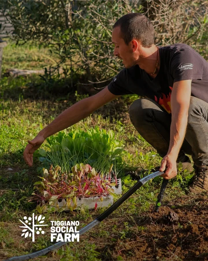 Foto: Tiggiano, al via corso su agricoltura rigenerativa e orto sociale
