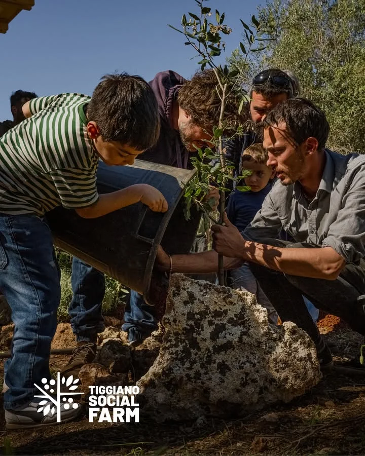 Foto: Tiggiano, al via corso su agricoltura rigenerativa e orto sociale