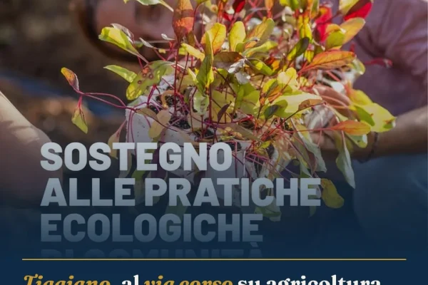 Tiggiano, al via corso su agricoltura rigenerativa e orto sociale