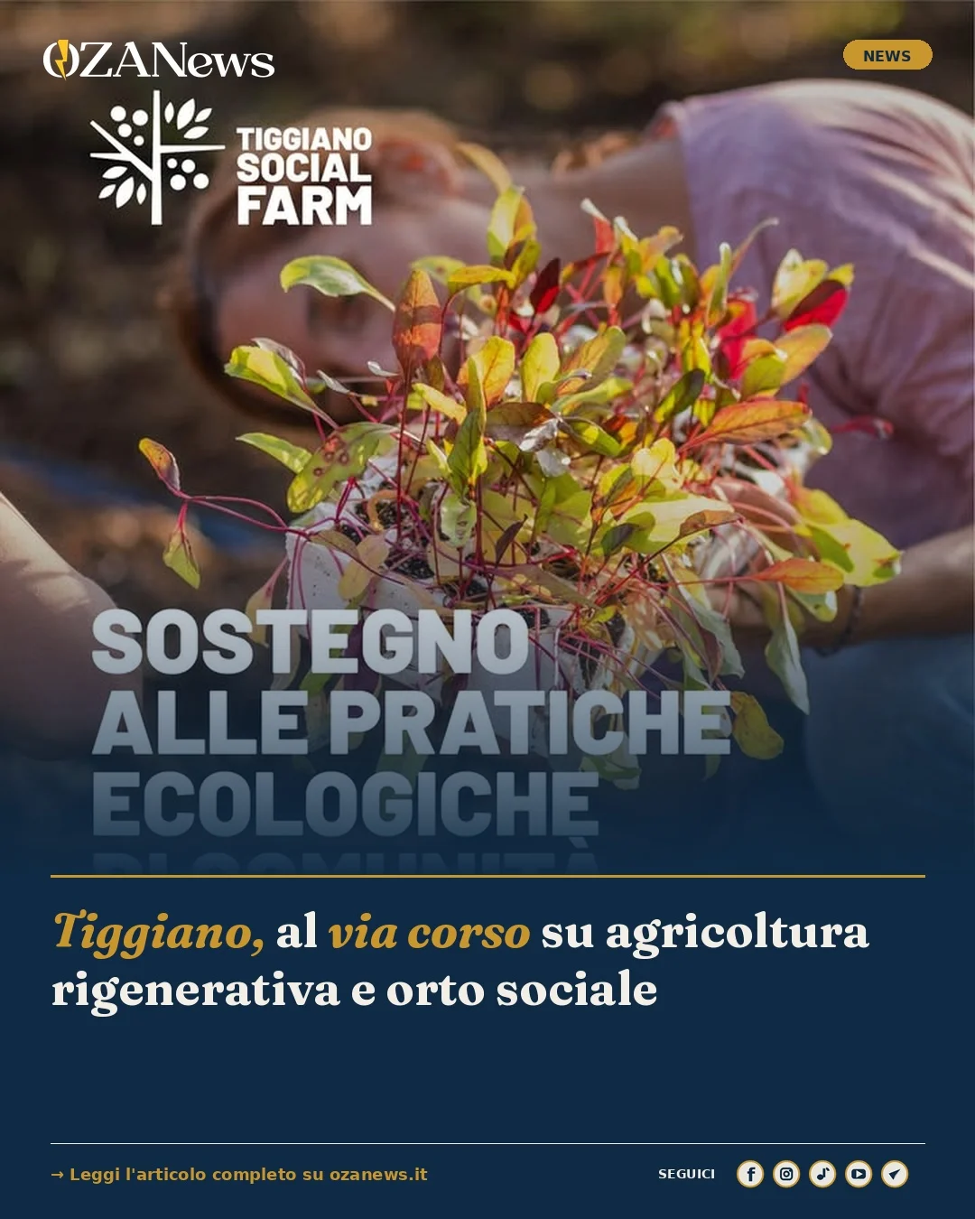 Foto: Tiggiano, al via corso su agricoltura rigenerativa e orto sociale