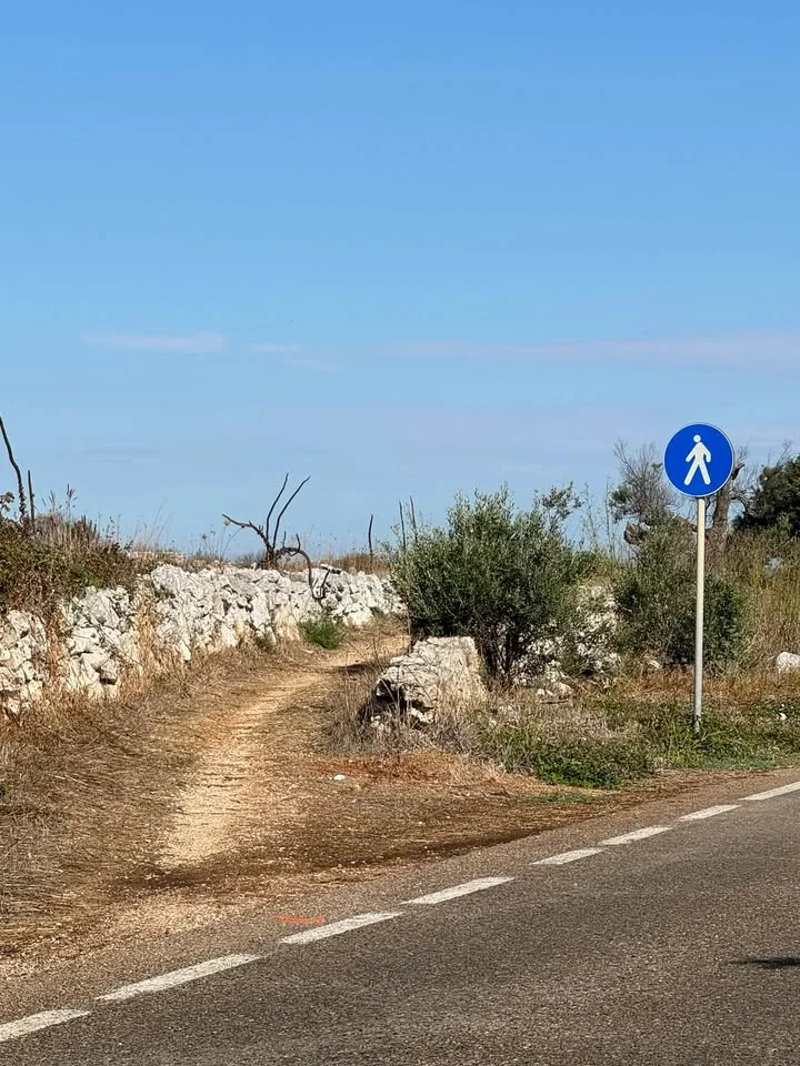 Dettaglio 3: Tiggiano, al via il CIS Costa Adriatica: interventi per ambiente e mobilità