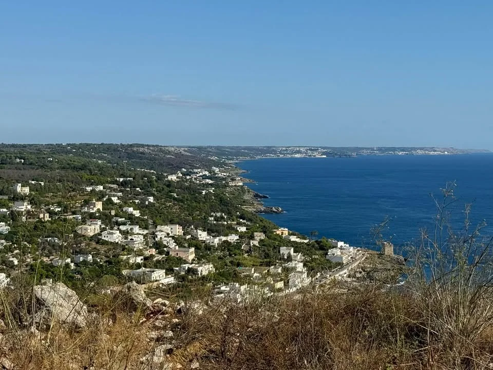 Dettaglio 4: Tiggiano, al via il CIS Costa Adriatica: interventi per ambiente e mobilità
