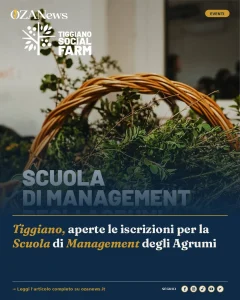 Tiggiano, aperte le iscrizioni per la Scuola di Management degli Agrumi