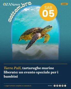 Torre Pali, tartarughe marine liberate: un evento speciale per i bambini