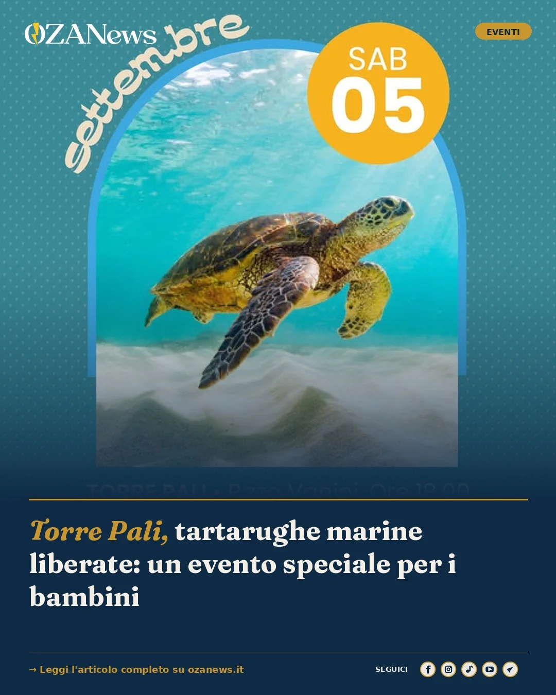 Anteprima di: Torre Pali, tartarughe marine liberate: un evento speciale per i bambini