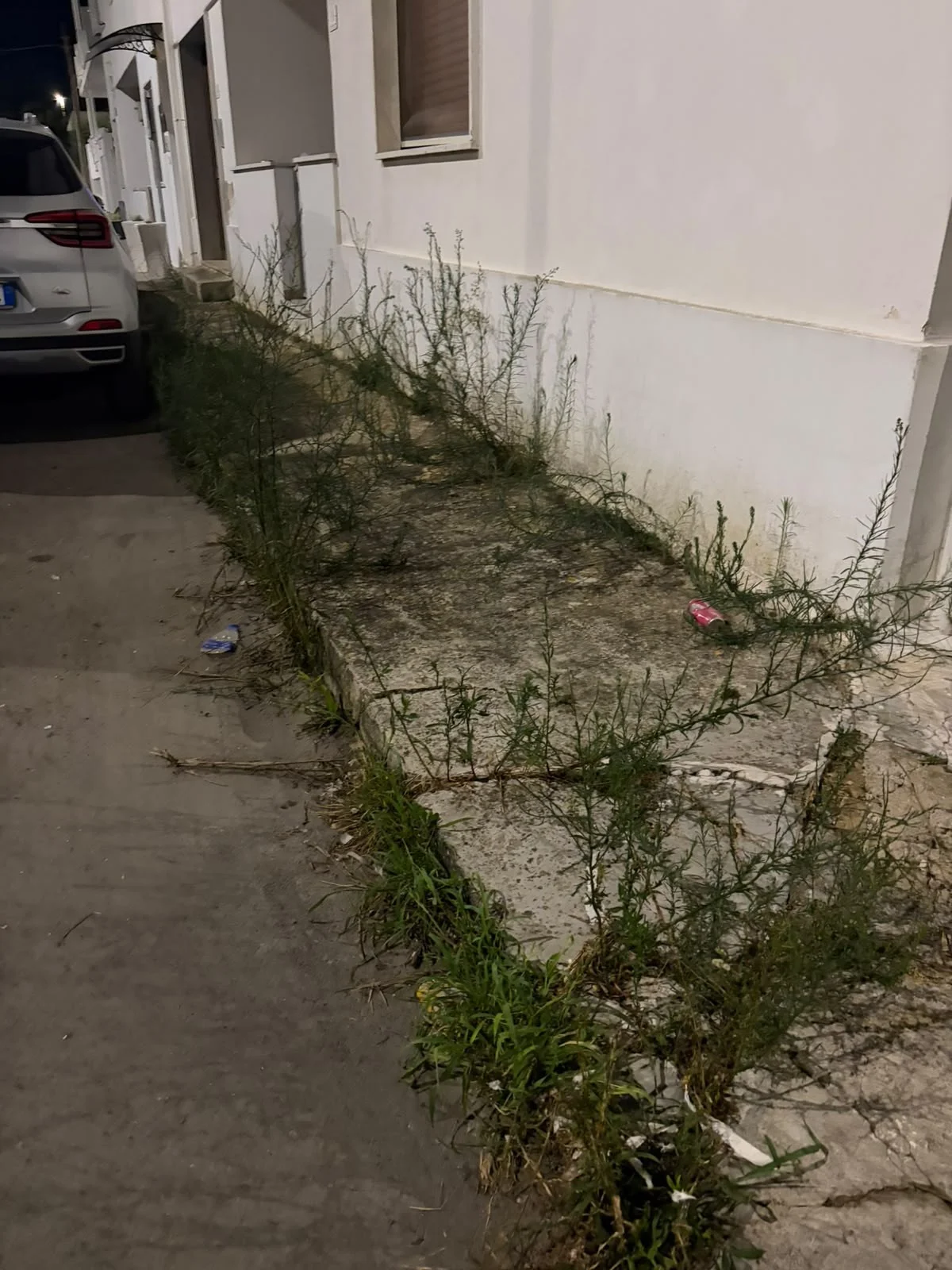 Foto: Torre San Giovanni, cittadino denuncia degrado alla piazza del porto