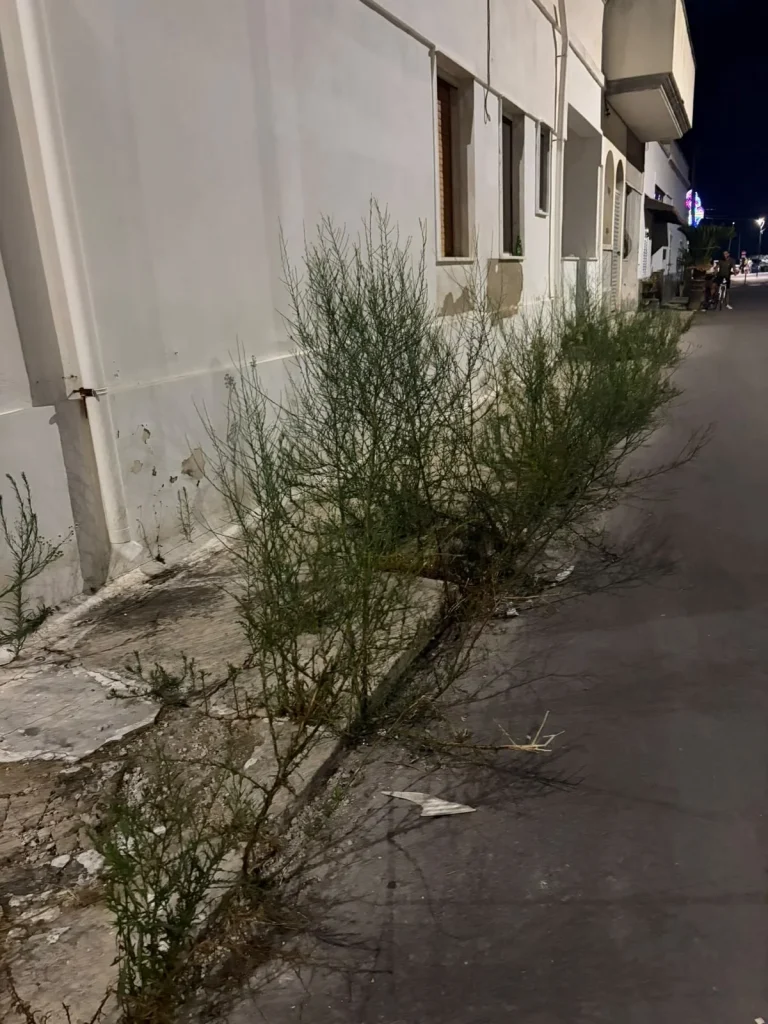 Dettaglio 7: Torre San Giovanni, cittadino denuncia degrado alla piazza del porto
