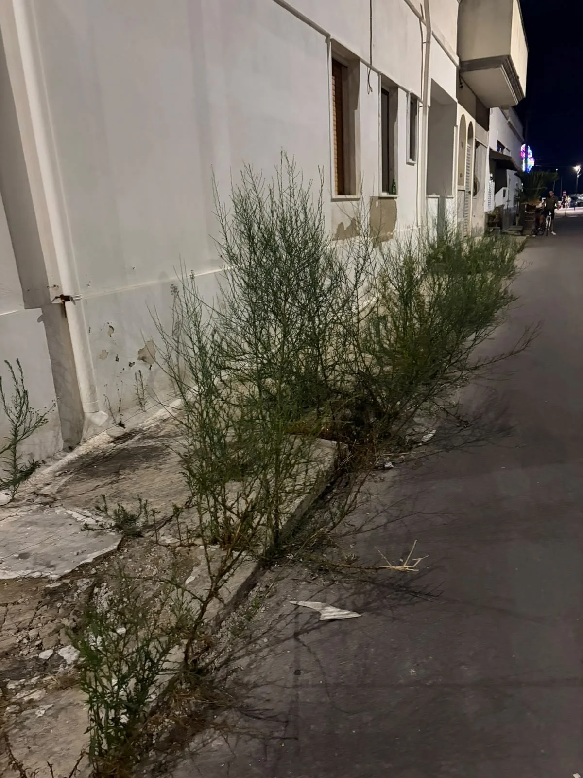 Foto: Torre San Giovanni, cittadino denuncia degrado alla piazza del porto