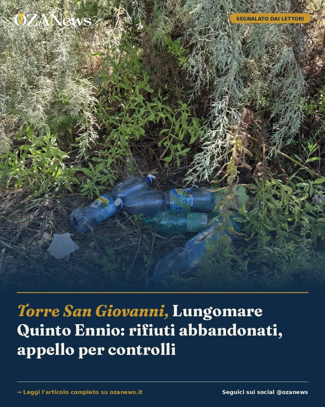 Foto: Torre San Giovanni, Lungomare Quinto Ennio: rifiuti abbandonati, appello per controlli