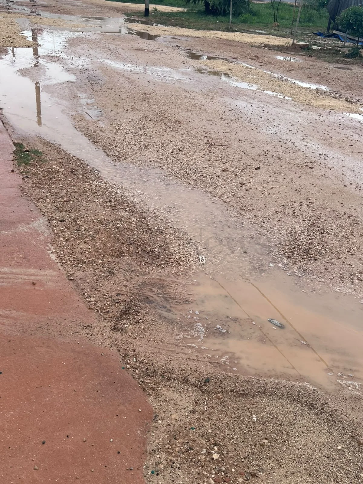 Foto: Torre San Giovanni, residenti Via Cappellini: strada impraticabile e trasporti difficili