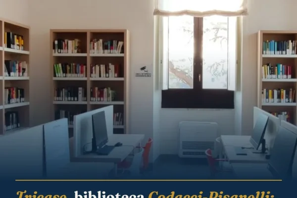 Tricase, biblioteca Codacci-Pisanelli: estate 2026 con 2.372 presenze