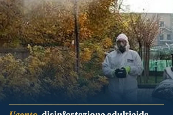 Ugento, disinfestazione adulticida straordinaria nella notte del 16 settembre