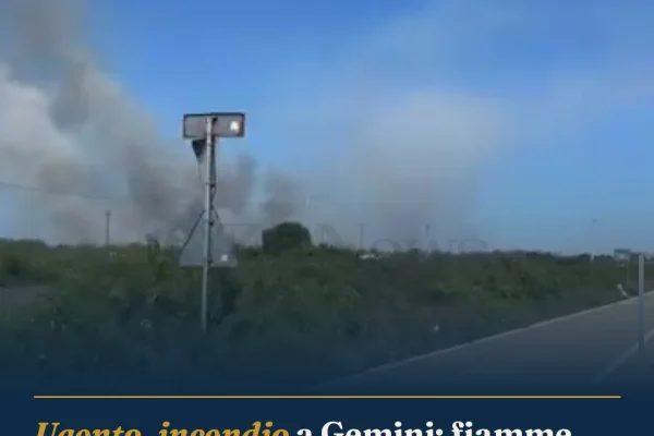 Ugento, incendio a Gemini: fiamme vicino alle abitazioni