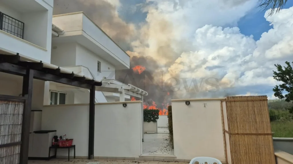 Dettaglio 3: Ugento, incendio a Torre Mozza: fiamme lambiscono le abitazioni