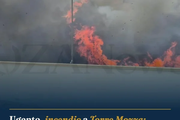 Ugento, incendio a Torre Mozza: fiamme lambiscono le abitazioni