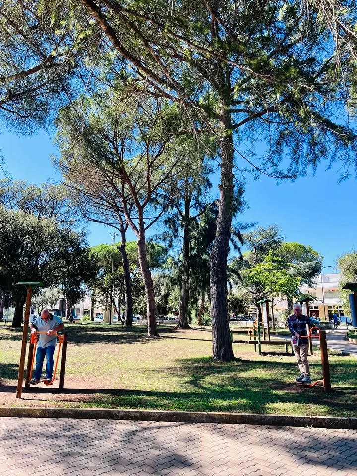 Dettaglio 5: Aradeo, una domenica di sport e comunità per San Francesco d’Assisi