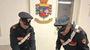 Anteprima di: Castrignano del Capo, controlli antidroga dei Carabinieri: arrestato 18enne con oltre 230 grammi di stupefacenti