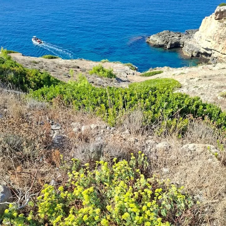 Dettaglio 3: Castrignano del Capo, pulizia ambientale a Punta Ristola con Plastic Free