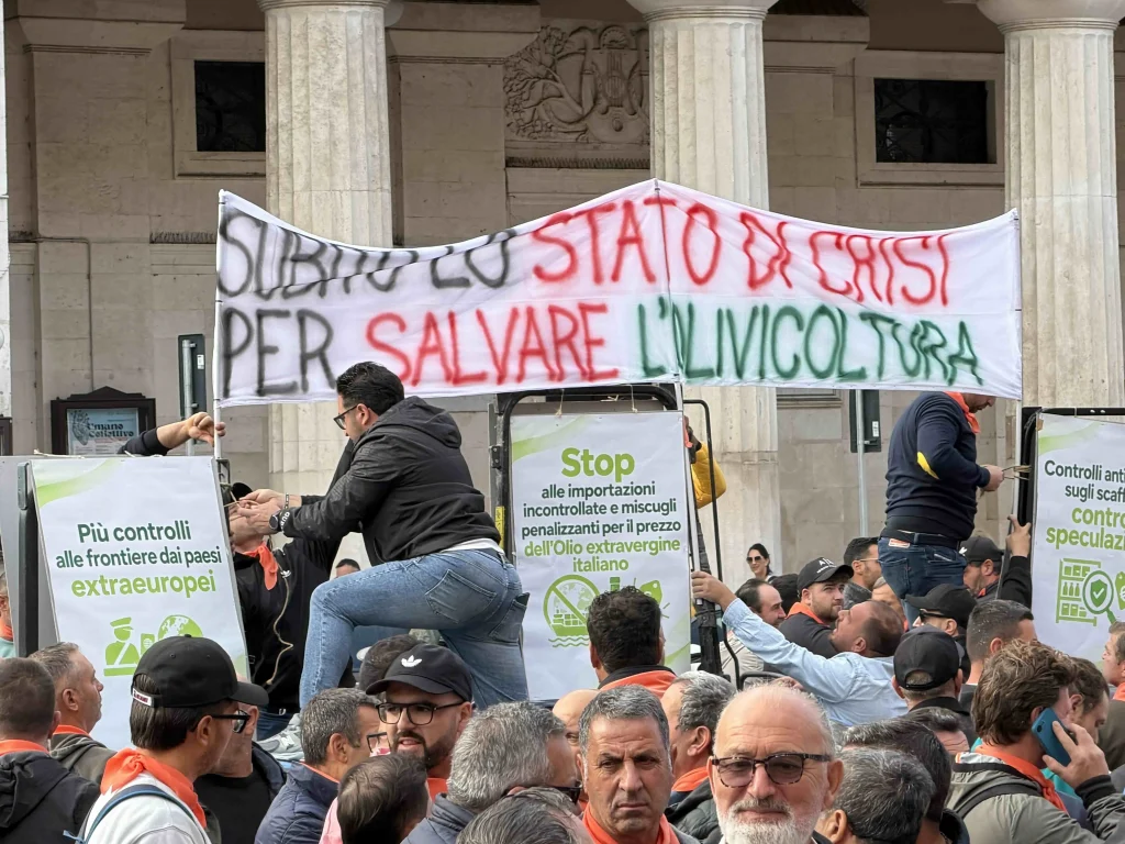Dettaglio 1: Crisi olivicola, 'Orgoglio Olivicolo' attende risposte concrete dalla Conferenza Stato-Regioni