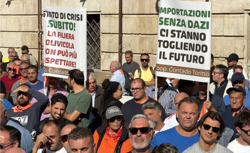 Dettaglio 3: Crisi olivicola, 'Orgoglio Olivicolo' attende risposte concrete dalla Conferenza Stato-Regioni