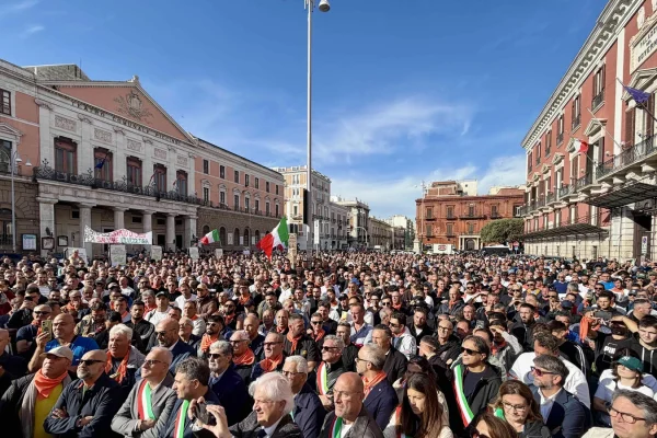 Crisi olivicola, ‘Orgoglio Olivicolo’ attende risposte concrete dalla Conferenza Stato-Regioni