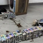 Anteprima di: Lecce, droga via corriere: 26enne di Taranto ai domiciliari con 10 kg di hashish