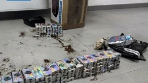 Anteprima di: Lecce, droga via corriere: 26enne di Taranto ai domiciliari con 10 kg di hashish