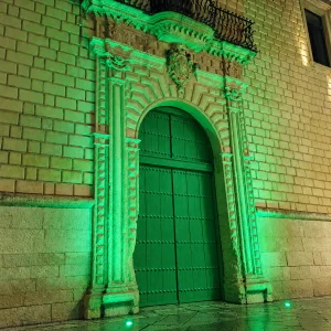 Dettaglio 2: Lecce, la Provincia illumina Palazzo Adorno per la Giornata Spina Bifida