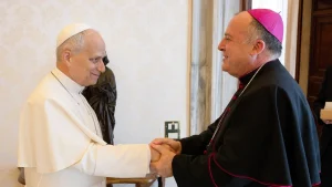 Anteprima di: Lecce, l'Arcivescovo Panzetta esprime vicinanza al Santo Padre per l'intervento