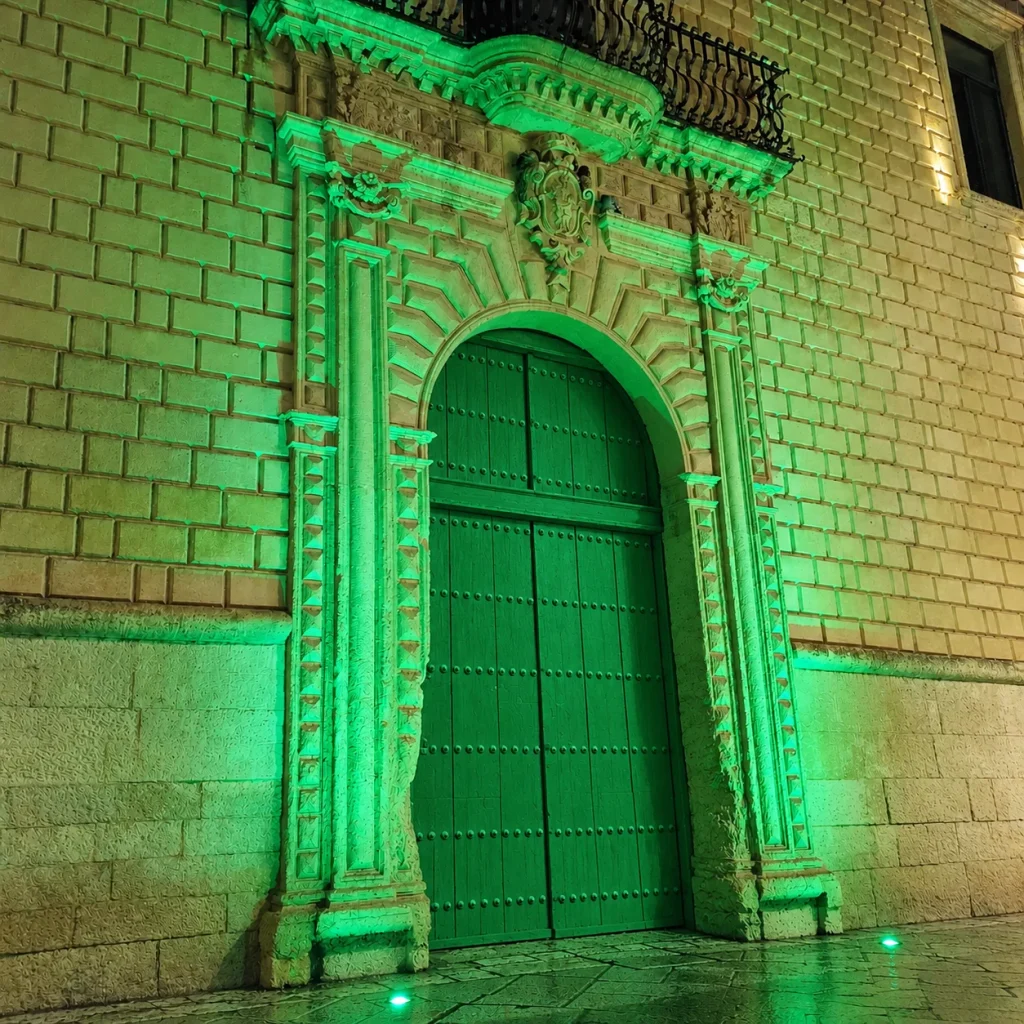 Dettaglio 2: Lecce, Palazzo Adorno si illumina di verde per due giornate di sensibilizzazione