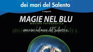 Matino, la biodiversità marina del Salento in un incontro con gli studenti