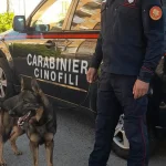 Melendugno e Borgagne, Carabinieri bloccano spaccio di droga: due arresti e sequestri
