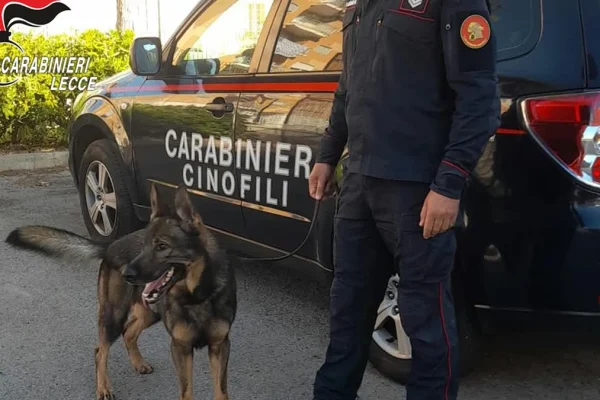 Melendugno e Borgagne, Carabinieri bloccano spaccio di droga: due arresti e sequestri