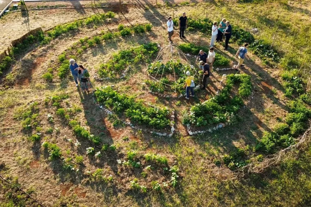 Dettaglio 1: Morciano di Leuca, Social Gardening: sabato la giornata conclusiva tra raccolta e festa