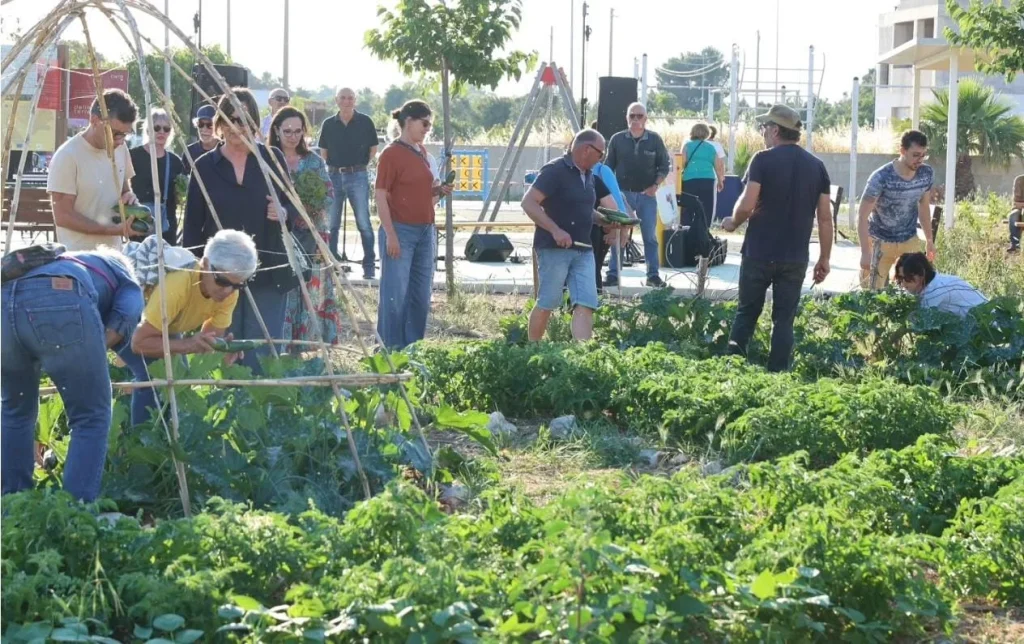 Dettaglio 2: Morciano di Leuca, Social Gardening: sabato la giornata conclusiva tra raccolta e festa
