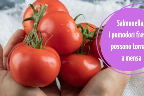 Nardò, revocato il divieto: i pomodori freschi tornano nelle mense scolastiche