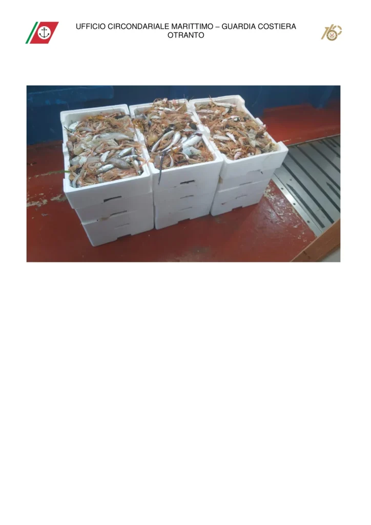 Dettaglio 1: Otranto, Guardia Costiera sequestra 115 kg di pescato e reti non conformi: sanzioni per 8mila euro