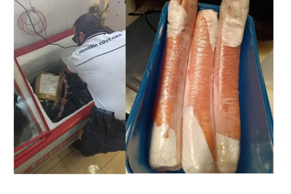 Otranto, Guardia Costiera sequestra 115 kg di pescato e reti non conformi: sanzioni per 8mila euro