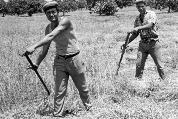OzaNews Storico: Ricordi del Salento
