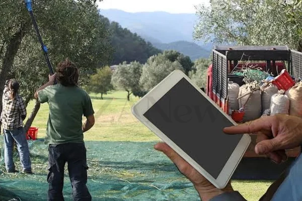 Politiche Agricole, via libera al DAO olivicolo: Orgoglio Olivicolo sollecita altre misure