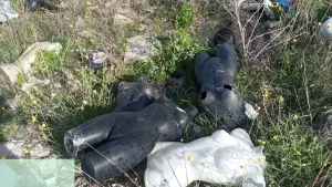 Porto Cesareo, intensificati i controlli contro l’abbandono di rifiuti: individuati i responsabili