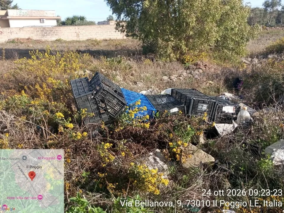 Dettaglio 6: Porto Cesareo, intensificati i controlli contro l'abbandono di rifiuti: individuati i responsabili
