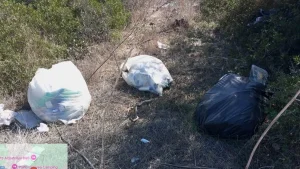 Anteprima di: Porto Cesareo, rifiuti abbandonati in periferia: l'intervento degli ispettori