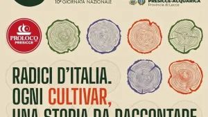 Presicce-Acquarica, Camminata tra gli Olivi: decima edizione dedicata alle radici d'Italia