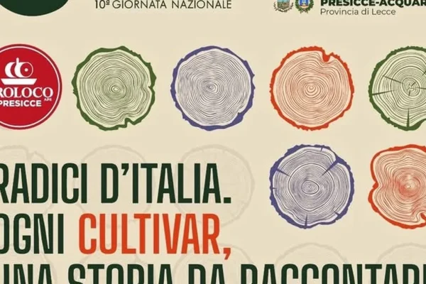 Presicce-Acquarica, Camminata tra gli Olivi: decima edizione dedicata alle radici d’Italia