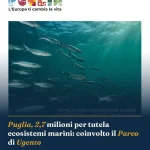Anteprima di: Puglia, 2,7 milioni per tutela ecosistemi marini: coinvolto il Parco di Ugento