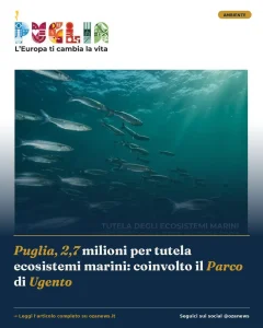 Anteprima di: Puglia, 2,7 milioni per tutela ecosistemi marini: coinvolto il Parco di Ugento