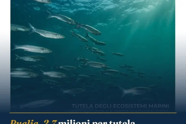 Puglia, 2,7 milioni per tutela ecosistemi marini: coinvolto il Parco di Ugento