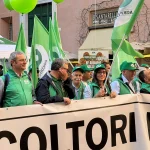 Anteprima di: Puglia, agricoltori in protesta a Roma: "Situazione insostenibile" per rincari e importazioni