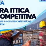 Anteprima di: Puglia, bando regionale per la filiera ittica: investimenti in competitività e sostenibilità